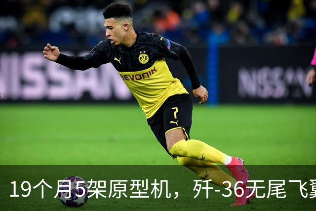 19个月5架原型机，歼-36无尾飞翼如何提前“算”掉缺陷？